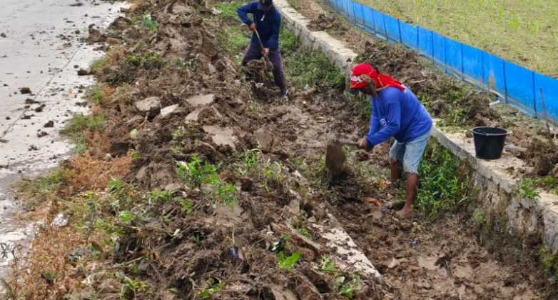 Pelihara Infrastuktur Pertanian, Pemdes Plawangan Lakukan Normalisasi Saluran Irigasi