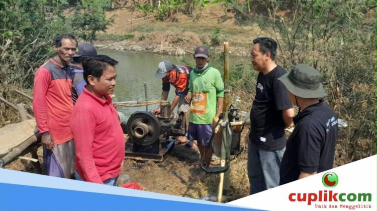 Camat Bongas dan Kuwu Desa Plawangan Tinjau Pompanisasi Sawah